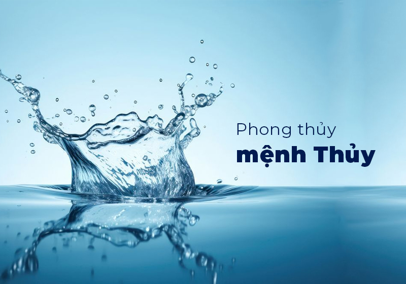 Top các loại hoa chưng Tết cho mệnh Thủy giúp thu hút tài lộc, may mắn