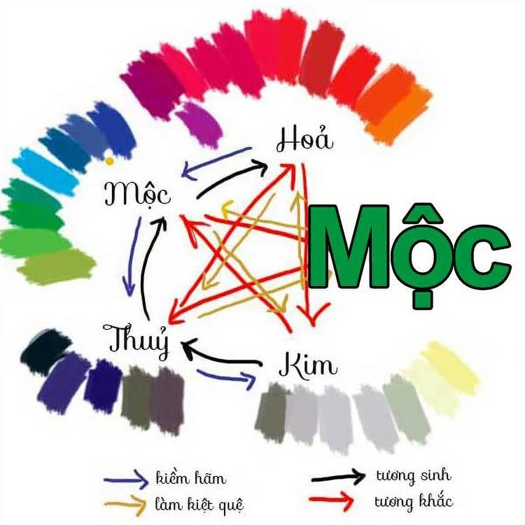 Top 10 loại hoa và cây chưng Tết hợp với mệnh Mộc hút tài lộc, may mắn Top 10 loại hoa và cây chưng Tết hợp với mệnh Mộc hút tài lộc, may mắn