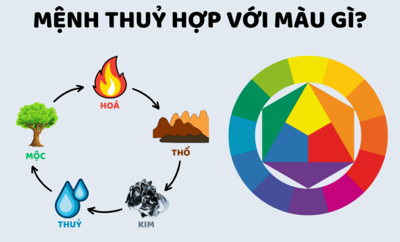 Top các loại hoa chưng Tết cho mệnh Thủy giúp thu hút tài lộc, may mắn