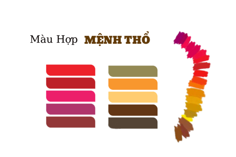 Top 10 loại hoa chưng Tết hợp với người mệnh Thổ hút tài lộc, may mắn