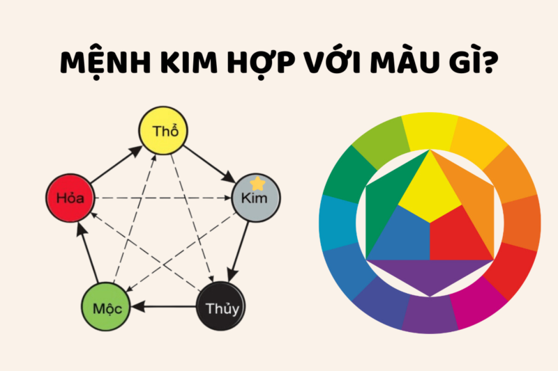 Hoa chưng Tết cho người mệnh Kim hút tài lộc, may mắn năm 2026 Hoa chưng Tết cho người mệnh Kim hút tài lộc, may mắn năm 2026