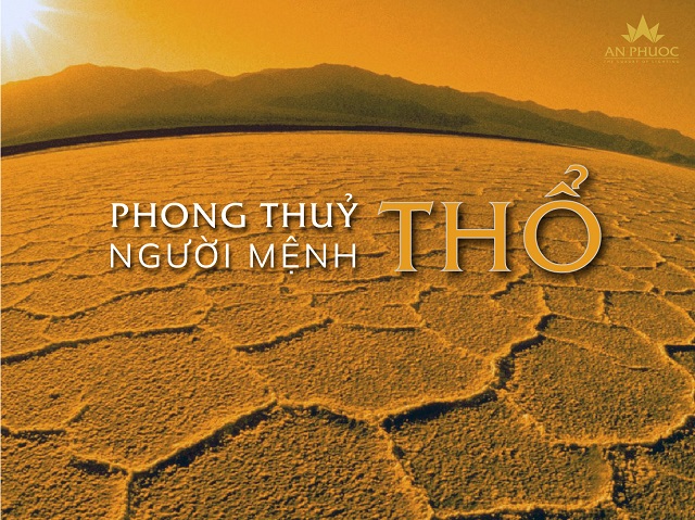 Top 7 loại cây xanh chưng phòng khách hút tài lộc cho mệnh Thổ đón Tết