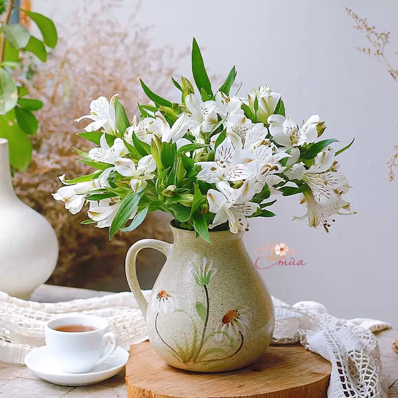 Hoa chưng Tết cho người mệnh Kim hút tài lộc, may mắn năm 2026 Hoa chưng Tết cho người mệnh Kim hút tài lộc, may mắn năm 2026