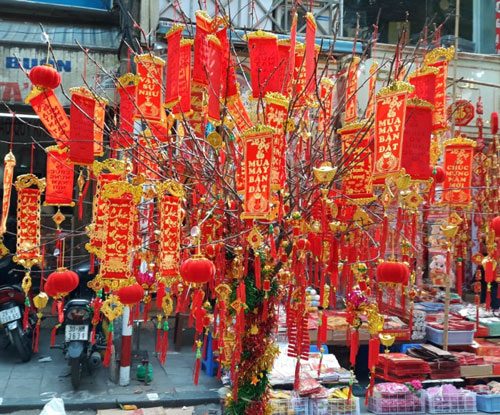 Đặt mai, đào, quất ở đâu dịp Tết để mang tài lộc may mắn cả năm Đặt mai, đào, quất ở đâu dịp Tết để mang tài lộc may mắn cả năm
