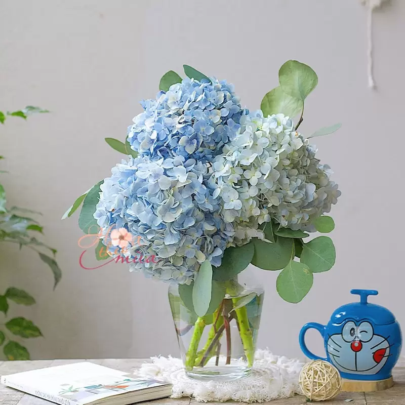 Top các loại hoa chưng Tết cho mệnh Thủy giúp thu hút tài lộc, may mắn
