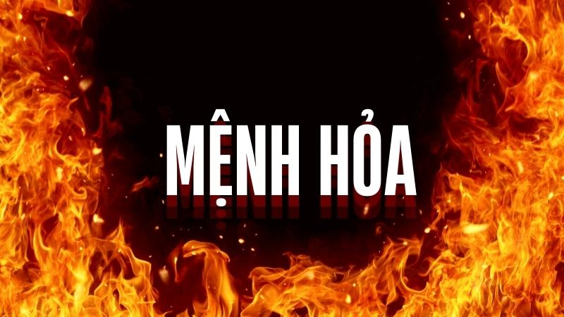 Top các loại hoa chưng phòng khách phù hợp với mệnh Hoả đón tài lộc Top các loại hoa chưng phòng khách phù hợp với mệnh Hoả đón tài lộc