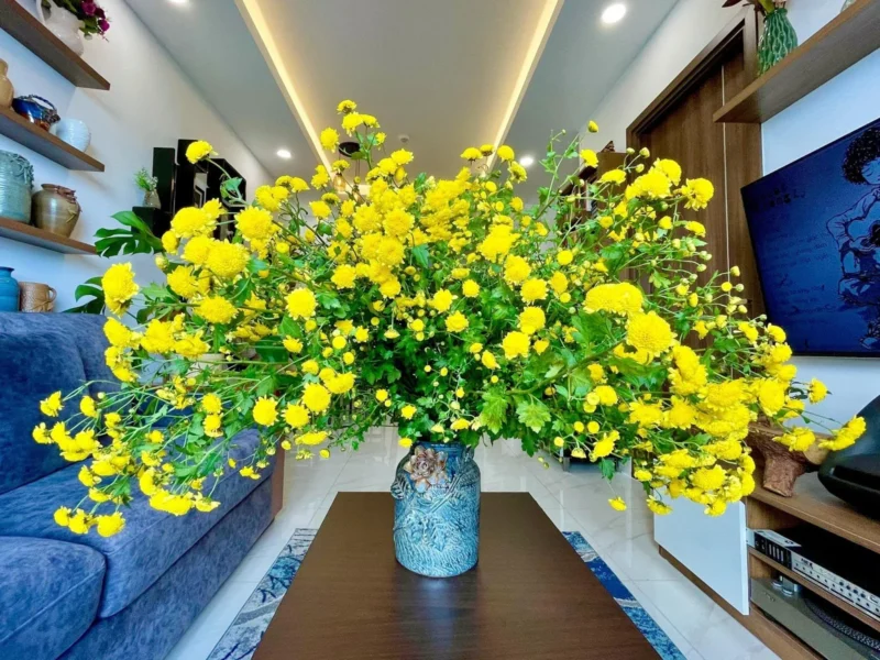 Vị trí đại kỵ khi đặt cây cảnh, hoa ngày Tết khiến gia chủ mất lộc. Vị trí đại kỵ khi đặt cây cảnh, hoa ngày Tết khiến gia chủ mất lộc.