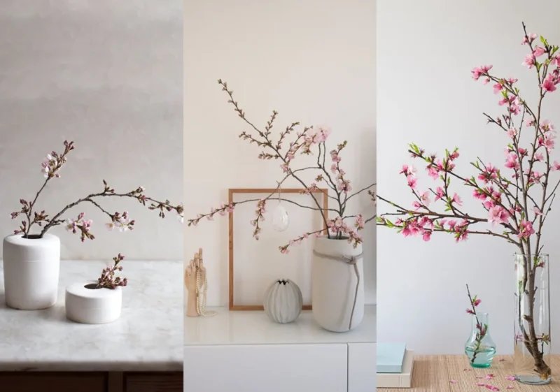 Vị trí đại kỵ khi đặt cây cảnh, hoa ngày Tết khiến gia chủ mất lộc. Vị trí đại kỵ khi đặt cây cảnh, hoa ngày Tết khiến gia chủ mất lộc.