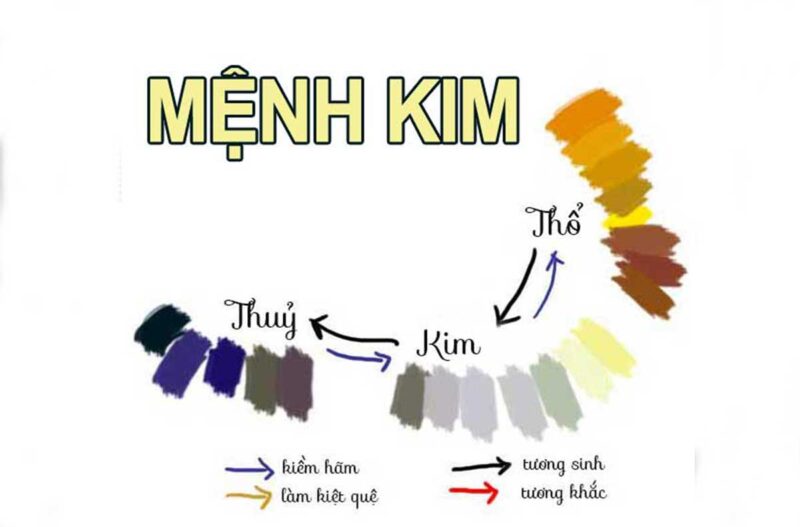 Các loại hoa chưng Tết theo mệnh Kim hút tài lộc, may mắn năm 2026 Các loại hoa chưng Tết theo mệnh Kim hút tài lộc, may mắn năm 2026