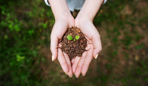 Hướng phòng ngủ cho người mệnh Thổ 